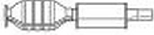 100 catalizzatore per fiat - 100,