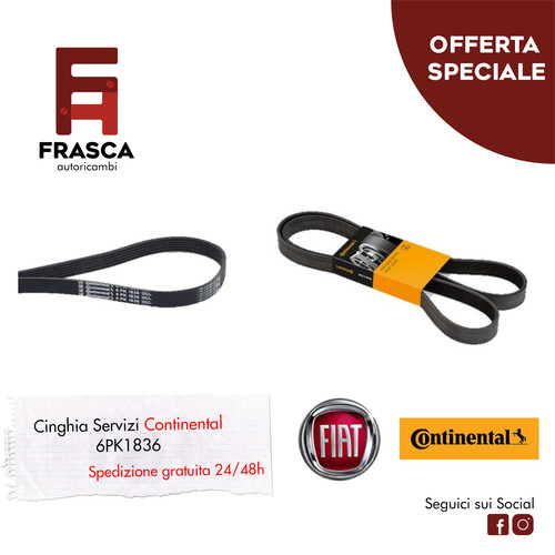 Cinghia servizi polyv - cinghia,